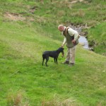 Gundog Training 2